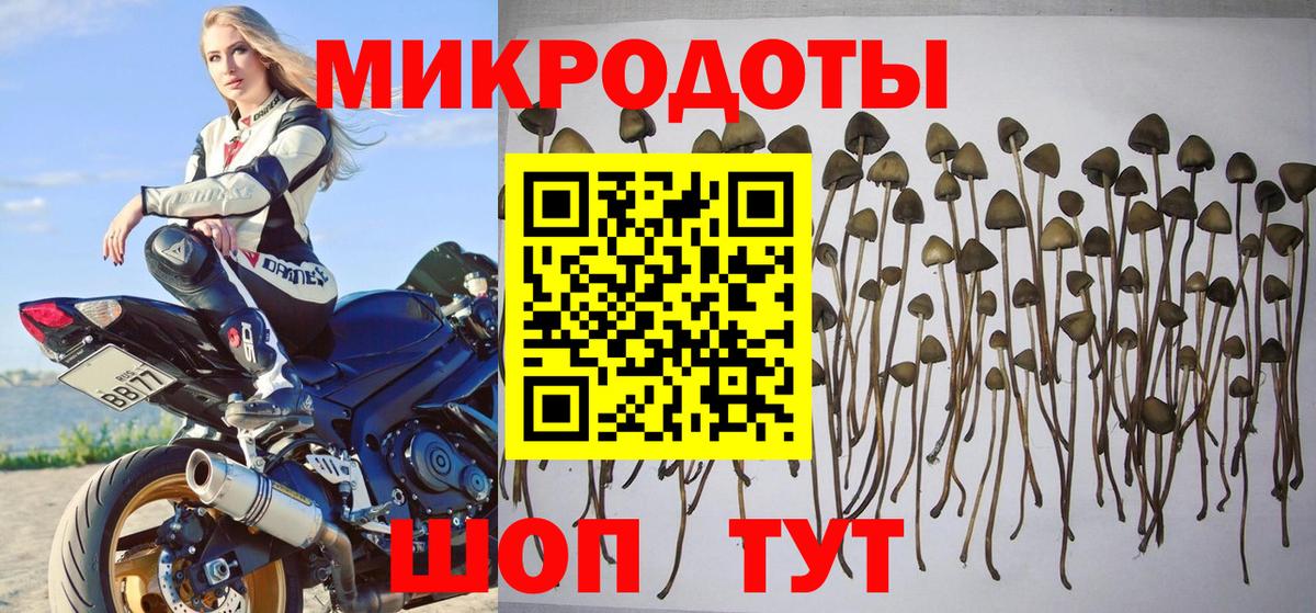 Галлюциногенные грибы Psilocybine cubensis  Вход с VPN  Отрадное 